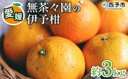 【先行予約】＜無茶々園の伊予柑 約3kg＞ 果物 いよかん イヨカン みかん ミカン 蜜柑 柑橘 フルーツ 選べる内容量 期間限定 季節限定 特産品 愛媛県 西予市【常温】