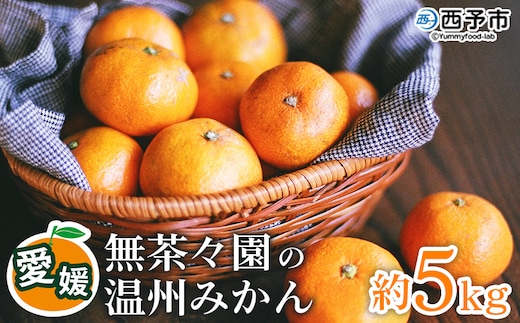 【先行予約】＜無茶々園 温州みかん 約5kg＞ 果物 くだもの ミカン 蜜柑 柑橘 フルーツ うんしゅうみかん 選べる内容量 贈り物 ギフト おいしい 期間限定 季節限定 食べて応援 特産品 愛媛県 西予市 【常温】