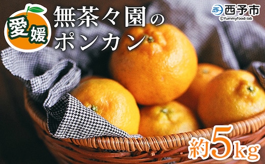 【先行予約】＜無茶々園のポンカン 約5kg＞ 果物 くだもの フルーツ ぽんかん みかん 蜜柑 柑橘類 かんきつ 旬 甘い 濃厚 新鮮 期間限定 季節限定 産地直送 特産品 愛媛県 西予市 【常温】