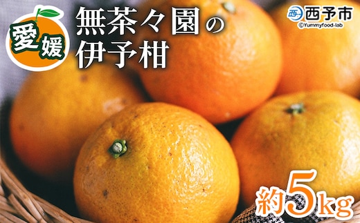 【先行予約】＜無茶々園の伊予柑 約5kg＞ 果物 いよかん イヨカン みかん ミカン 蜜柑 柑橘 フルーツ 選べる内容量 期間限定 季節限定 特産品 愛媛県 西予市【常温】