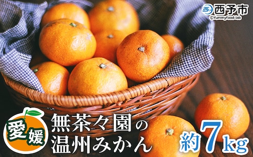 【先行予約】＜無茶々園 温州みかん 約7kg＞ 果物 くだもの ミカン 蜜柑 柑橘 フルーツ うんしゅうみかん 選べる内容量 贈り物 ギフト おいしい 期間限定 季節限定 食べて応援 特産品 愛媛県 西予市 【常温】