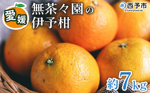 【先行予約】＜無茶々園の伊予柑 約7kg＞ 果物 いよかん イヨカン みかん ミカン 蜜柑 柑橘 フルーツ 選べる内容量 期間限定 季節限定 特産品 愛媛県 西予市【常温】