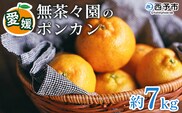【先行予約】＜無茶々園のポンカン 約7kg＞ 果物 くだもの フルーツ ぽんかん みかん 蜜柑 柑橘類 かんきつ 旬 甘い 濃厚 新鮮 期間限定 季節限定 産地直送 特産品 愛媛県 西予市 【常温】