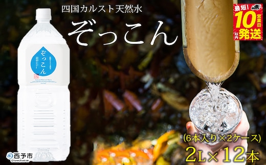 四国カルスト天然水ぞっこん 2L(6本入り)×2ケース 計12本