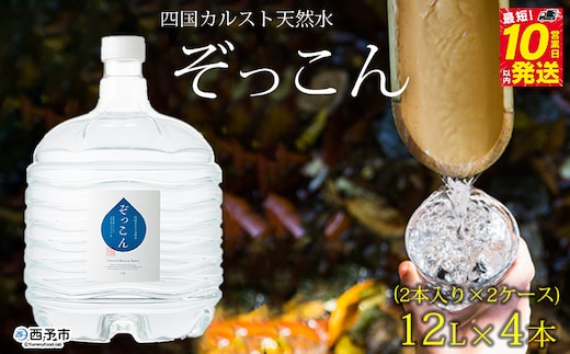 四国カルスト天然水ぞっこん (12L×2本)×2ケース 計4本