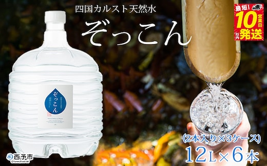 四国カルスト天然水ぞっこん (12L×2本)×3ケース 計6本
