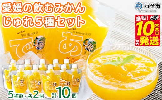 愛媛の飲むみかんジュレ(10個セット)