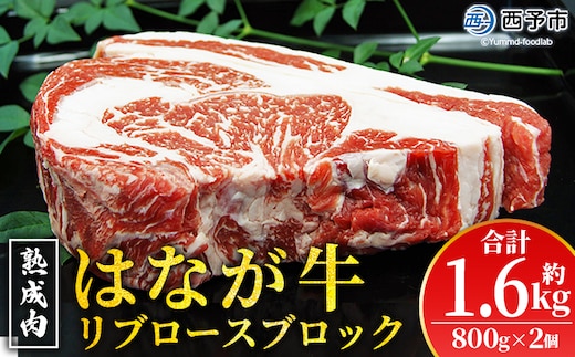 ＜熟成肉 はなが牛リブロースブロック約1.6kg（800g×2個）＞ 牛肉 ステーキ 鉄板焼き 焼き肉 国産 塊肉 かたまり 霜降り しもふり バーベキュー BBQ キャンプ アウトドア 特産品 ゆうぼく 愛媛県 西予市【冷凍】