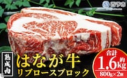 ＜熟成肉 はなが牛リブロースブロック約1.6kg（800g×2個）＞ 牛肉 ステーキ 鉄板焼き 焼き肉 国産 塊肉 かたまり 霜降り しもふり バーベキュー BBQ キャンプ アウトドア 特産品 ゆうぼく 愛媛県 西予市【冷凍】