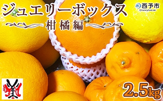 ＜愛媛県明浜産 ジュエリーボックス(柑橘編) 柑橘多品種 計約2.5kg 【2月配送】＞ みかん ミカン せとか きよみ いよかん ばんかん はるか 果物 フルーツ デザート 渡江から一歩を踏み出す会 特産品 愛媛県 西予市 【常温】