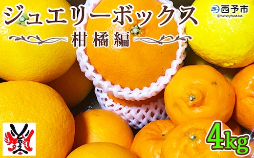 ＜愛媛県明浜産 ジュエリーボックス(柑橘編) 柑橘多品種 計約4kg 【1月配送】＞ みかん ミカン せとか きよみ いよかん ばんかん はるか 果物 フルーツ デザート 渡江から一歩を踏み出す会 特産品 愛媛県 西予市 【常温】