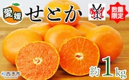 先行予約 数量限定＜愛媛西予市産 せとか 約1kg＞ 果物 くだもの フルーツ 柑橘類 ミカン みかん 甘い 特産品 糖度 家庭用 自宅用 産地直送 渡江から一歩を踏み出す会 食べて応援 愛媛県 西予市 【常温】