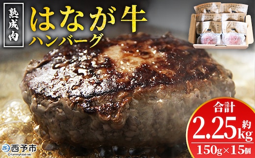 ＜熟成肉 はなが牛ハンバーグ 15個（1個150g）＞ 肉 お肉 牛肉 牛 ビーフ 牛100％ 肉加工品 お惣菜 洋食 おかず 弁当 ランチ ディナー 国産 小分け 個包装 簡単調理 特産品 ゆうぼく 愛媛県 西予市【冷凍】