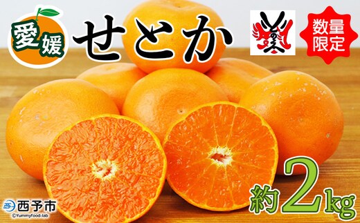先行予約 数量限定＜愛媛西予市産 せとか 約2kg＞ 果物 くだもの フルーツ 柑橘類 ミカン みかん 甘い 特産品 糖度 家庭用 自宅用 産地直送 渡江から一歩を踏み出す会 食べて応援 愛媛県 西予市 【常温】