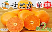 先行予約 数量限定＜愛媛西予市産 せとか 約2kg＞ 果物 くだもの フルーツ 柑橘類 ミカン みかん 甘い 特産品 糖度 家庭用 自宅用 産地直送 渡江から一歩を踏み出す会 食べて応援 愛媛県 西予市 【常温】