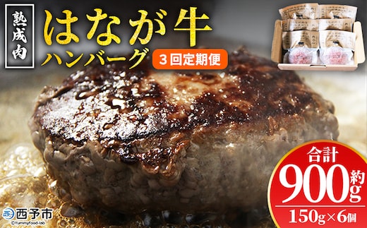 ＜熟成肉 はなが牛ハンバーグ 6個（1個150g）3回定期便＞ 肉 お肉 牛肉 牛 ビーフ 牛100％ 肉加工品 お惣菜 洋食 おかず 弁当 ランチ ディナー 国産 小分け 個包装 簡単調理 特産品 ゆうぼく 愛媛県 西予市【冷凍】『2か月以内に第1回目を出荷予定』