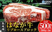 ＜熟成肉 はなが牛リブロースブロック約500g（500g×1個）＞ 牛肉 ステーキ 鉄板焼き 焼き肉 国産 塊肉 かたまり 霜降り しもふり バーベキュー BBQ キャンプ アウトドア 特産品 ゆうぼく 愛媛県 西予市【冷凍】