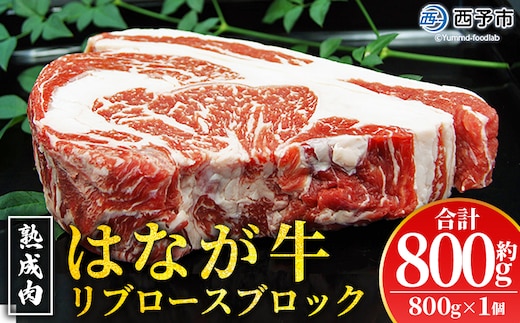 ＜熟成肉 はなが牛リブロースブロック約800g（800g×1個）＞ 牛肉 ステーキ 鉄板焼き 焼き肉 国産 塊肉 かたまり 霜降り しもふり バーベキュー BBQ キャンプ アウトドア 特産品 ゆうぼく 愛媛県 西予市【冷凍】