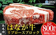 ＜熟成肉 はなが牛リブロースブロック約800g（800g×1個）＞ 牛肉 ステーキ 鉄板焼き 焼き肉 国産 塊肉 かたまり 霜降り しもふり バーベキュー BBQ キャンプ アウトドア 特産品 ゆうぼく 愛媛県 西予市【冷凍】