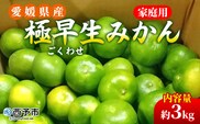 先行予約＜愛媛県産 極早生みかん 約3kg ご家庭用＞ 温州みかん 家庭用 訳あり 果物 ミカン 柑橘 フルーツ 選べる 食べて応援 特産品 段畑みかん 愛媛県 西予市【常温】『2026年9月中旬～10月中旬迄に順次出荷予定』