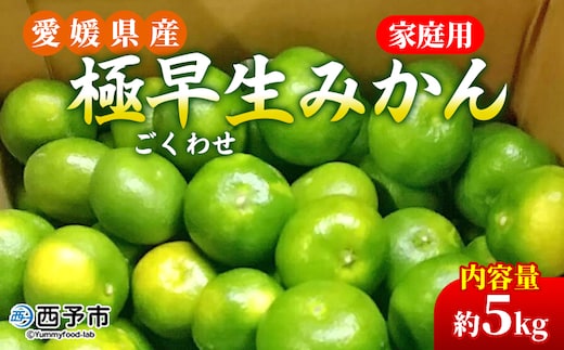 先行予約＜愛媛県産 極早生みかん 約5kg ご家庭用＞ 温州みかん 家庭用 訳あり 果物 ミカン 柑橘 フルーツ 選べる 食べて応援 特産品 段畑みかん 愛媛県 西予市【常温】『2026年9月中旬～10月中旬迄に順次出荷予定』