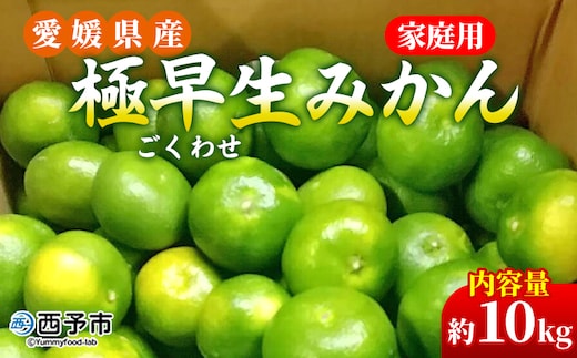 先行予約＜愛媛県産 極早生みかん 約10kg ご家庭用＞ 温州みかん 家庭用 訳あり 果物 ミカン 柑橘 フルーツ 選べる 食べて応援 特産品 段畑みかん 愛媛県 西予市【常温】『2026年9月中旬～10月中旬迄に順次出荷予定』