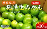 先行予約＜愛媛県産 極早生みかん 約10kg ご家庭用＞ 温州みかん 家庭用 訳あり 果物 ミカン 柑橘 フルーツ 選べる 食べて応援 特産品 段畑みかん 愛媛県 西予市【常温】『2026年9月中旬～10月中旬迄に順次出荷予定』
