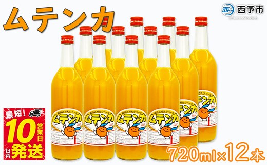 ムテンカ（明浜みかんジュース）12本セット