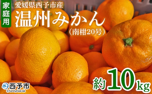 ＜愛媛県西予市産 温州みかん（南柑20号）家庭用 約10kg（サイズ不揃い・小傷あり）＞ 訳あり 果物 くだもの ミカン 柑橘 フルーツ 食べて応援 特産品 段畑みかん 愛媛県 西予市【常温】『2026年11月中旬～12月下旬頃迄に順次出荷予定』