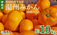 ＜愛媛県西予市産 温州みかん（南柑20号）家庭用 約10kg（サイズ不揃い・小傷あり）＞ 訳あり  果物 くだもの ミカン 柑橘 フルーツ 食べて応援 特産品 段畑みかん 愛媛県 西予市【常温】『2026年11月中旬～12月下旬頃迄に順次出荷予定』
