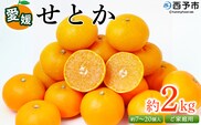 ＜愛媛県西予市産 せとか ご家庭用 約2kg＞ 訳あり 不揃い 傷 果物 フルーツ みかん ミカン 蜜柑 セトカ オレンジ 柑橘類 選べる 甘い 期間限定 食べて応援 特産品 宇都宮物産 【常温】『2026年2月下旬～4月中旬迄に順次出荷予定』
