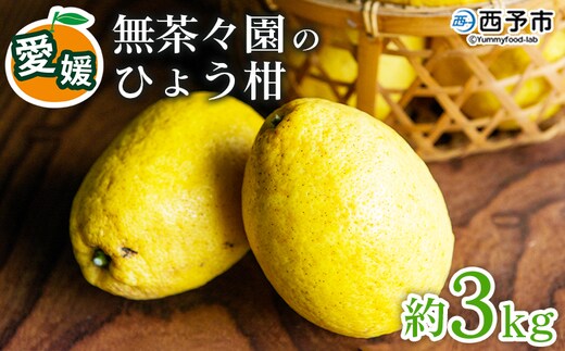 ＜無茶々園のひょう柑 約3kg＞ 果物 みかん ミカン 蜜柑 柑橘 フルーツ ひょうかん 弓削瓢柑 特産品 愛媛県 西予市【常温】