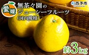 ＜無茶々園のジューシーフルーツ（河内晩柑）約3kg＞ 果物 フルーツ かわちばんかん みかん ミカン 蜜柑 柑橘 期間限定 季節限定 食べて応援 特産品 愛媛県 西予市 【冷蔵】