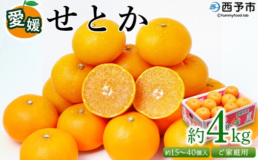 ＜愛媛県西予市産 せとか ご家庭用 約4kg＞ 訳あり 不揃い 傷 果物 フルーツ みかん ミカン 蜜柑 セトカ オレンジ 柑橘類 選べる 甘い 期間限定 食べて応援 特産品 宇都宮物産 【常温】『2027年2月下旬～4月上旬迄に順次出荷予定』