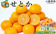 ＜愛媛県西予市産 せとか ご家庭用 約4kg＞ 訳あり 不揃い 傷 果物 フルーツ みかん ミカン 蜜柑 セトカ オレンジ 柑橘類 選べる 甘い 期間限定 食べて応援 特産品 宇都宮物産 【常温】『2026年2月下旬～4月中旬迄に順次出荷予定』