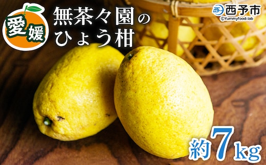 ＜無茶々園のひょう柑 約7kg＞ 果物 みかん ミカン 蜜柑 柑橘 フルーツ ひょうかん 弓削瓢柑 特産品 愛媛県 西予市【常温】