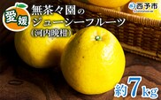 【先行予約】＜無茶々園のジューシーフルーツ（河内晩柑）約7kg＞ 果物 フルーツ かわちばんかん みかん ミカン 蜜柑 柑橘 期間限定 季節限定 食べて応援 特産品 愛媛県 西予市 【常温】