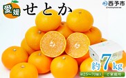 ＜愛媛県西予市産 せとか ご家庭用 約7kg＞ 訳あり 不揃い 傷 果物 フルーツ みかん ミカン 蜜柑 セトカ オレンジ 柑橘類 選べる 甘い 期間限定 食べて応援 特産品 宇都宮物産 【常温】『2026年2月下旬～4月中旬迄に順次出荷予定』