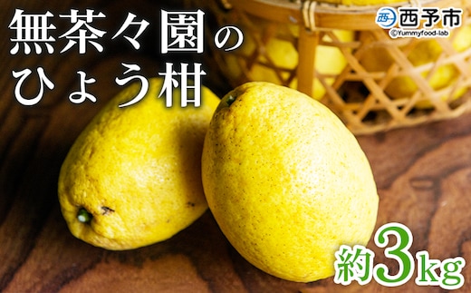 ＜無茶々園のひょう柑 約3kg＞ 果物 みかん ミカン 蜜柑 柑橘 フルーツ ひょうかん 弓削瓢柑 特産品 愛媛県 西予市【常温】