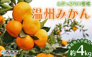 ＜とびっきりの愛媛 温州みかん 約4kg（家庭用大小混合）＞ 訳あり 家庭用 果物 柑橘 フルーツ 蜜柑 うんしゅうみかん ウンシュウミカン 特産品 片山果樹園 食べて応援 西宇和 愛媛県 西予市【常温】『2026年11月下旬～12月下旬迄に順次出荷予定』