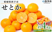 ＜愛媛県西予市産 せとか ご家庭用 約4kg＞ 訳あり 不揃い 傷 果物 フルーツ みかん ミカン 蜜柑 セトカ オレンジ 柑橘類 選べる 甘い 期間限定 食べて応援 特産品 宇都宮物産 【常温】『2026年2月下旬～4月上旬迄に順次出荷予定』