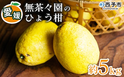 【先行予約】＜無茶々園のひょう柑 約5kg＞ 果物 みかん ミカン 蜜柑 柑橘 フルーツ ひょうかん 弓削瓢柑 特産品 愛媛県 西予市【常温】