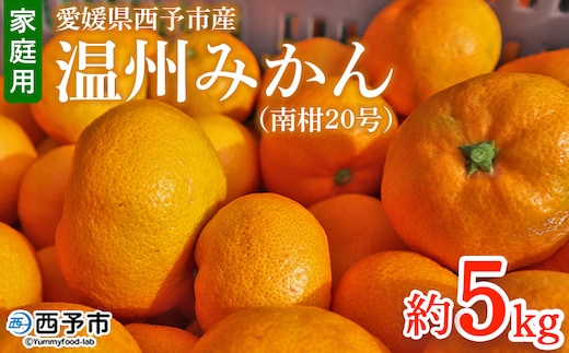 ＜愛媛県西予市産 温州みかん（南柑20号）家庭用 約5kg（サイズ不揃い・小傷あり）＞ 訳あり 果物 くだもの ミカン 柑橘 フルーツ 食べて応援 特産品 段畑みかん 愛媛県 西予市【常温】『2026年11月中旬～12月下旬頃迄に順次出荷予定』