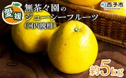 ＜無茶々園のジューシーフルーツ（河内晩柑）約5kg＞ 果物 フルーツ かわちばんかん みかん ミカン 蜜柑 柑橘 期間限定 季節限定 食べて応援 特産品 愛媛県 西予市 【常温】