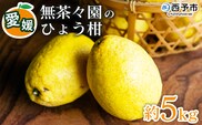 【先行予約】＜無茶々園のひょう柑 約5kg＞ 果物 みかん ミカン 蜜柑 柑橘 フルーツ ひょうかん 弓削瓢柑 特産品 愛媛県 西予市【常温】