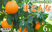 紅まどんなと同品種！＜とびっきりの愛媛 まどんな（6玉）＞マドンナ 愛媛果試第28号 果物 柑橘 フルーツ 期間 旬 季節限定 特産品 産地直送 片山果樹園 西宇和 愛媛県 西予市【常温】『2026年12月上旬～12月下旬迄に順次出荷予定』