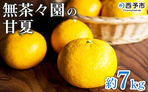 ＜無茶々園の甘夏 約7kg＞ 果物 あまなつ みかん ミカン 蜜柑 柑橘 フルーツ 期間限定 季節限定 食べて応援 特産品 愛媛県 西予市 【常温】