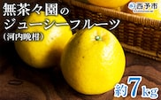 ＜無茶々園のジューシーフルーツ（河内晩柑）約7kg＞ 果物 フルーツ 選べる内容量 かわちばんかん みかん ミカン 蜜柑 柑橘 期間限定 季節限定 食べて応援 特産品 愛媛県 西予市 【常温】
