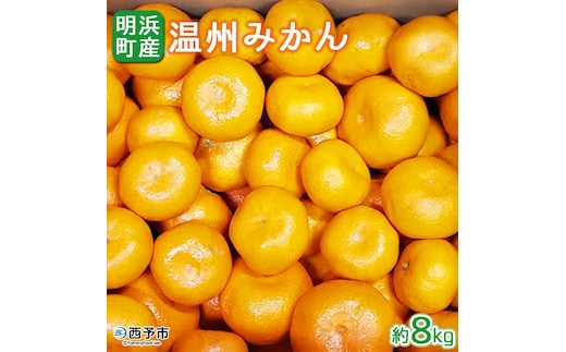 産地直送!！愛媛県明浜町産 温州みかん８kg（宇都宮農園）