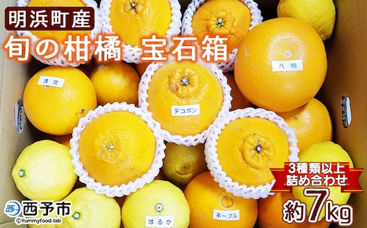 産地直送!！ 愛媛県明浜町産 旬の柑橘 宝石箱（宇都宮農園）